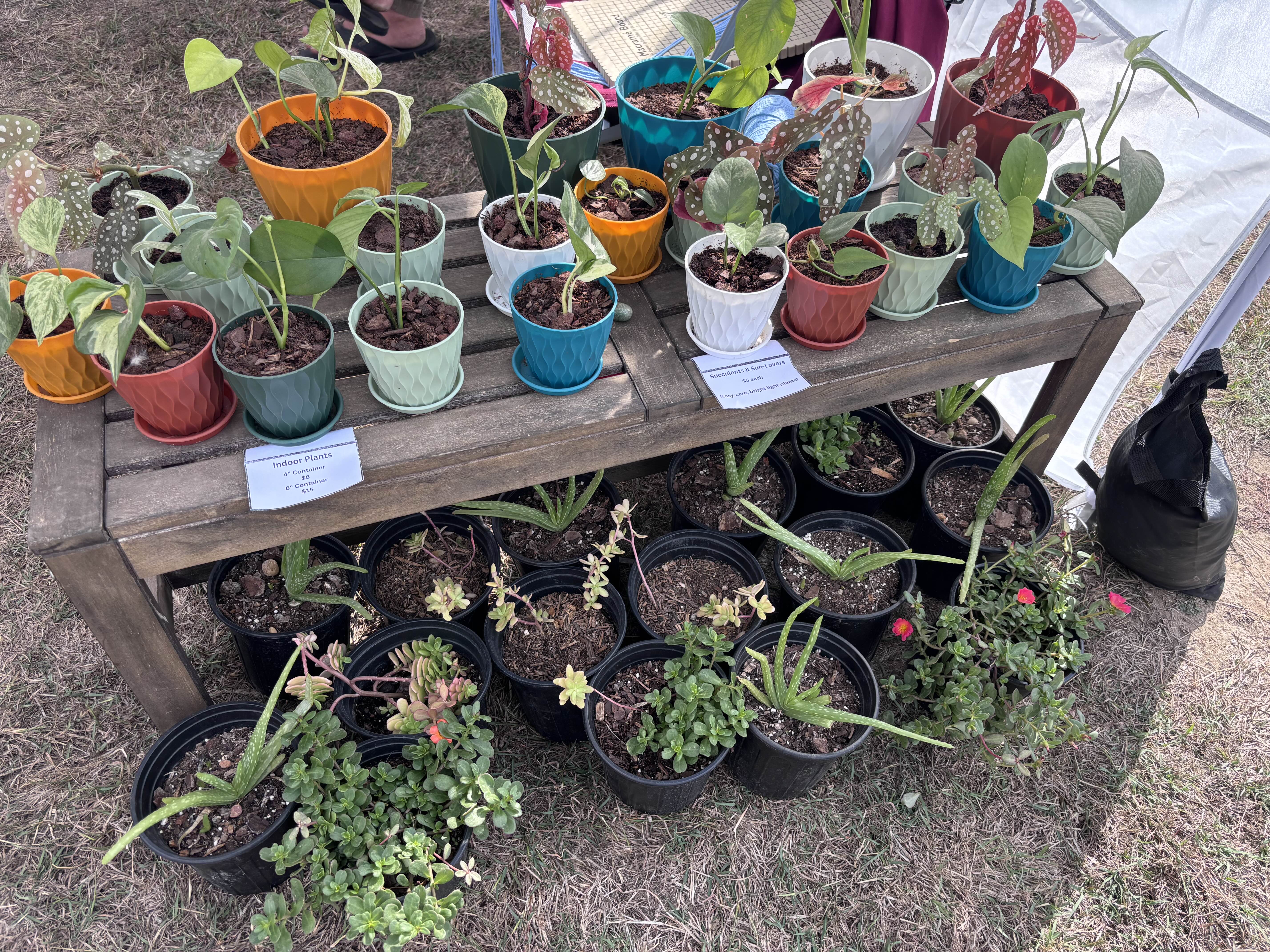 Plant table display